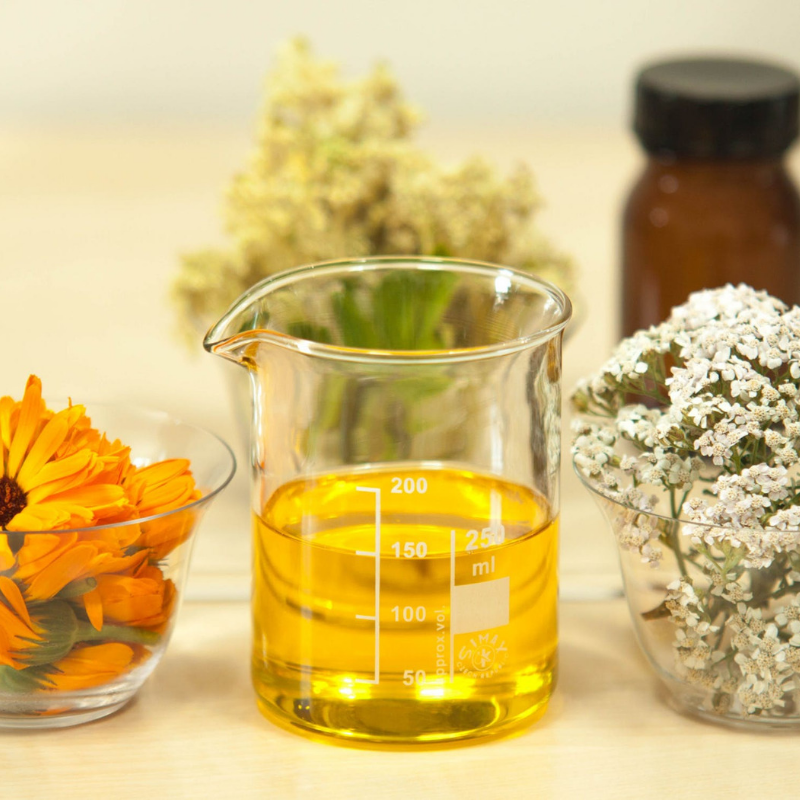 Les huiles végétales : un allié cosmétique naturel et polyvalent