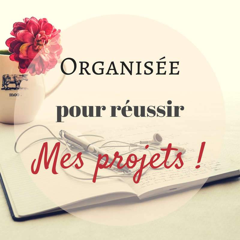Mieux organisée au quotidien : le bullet journal où le pouvoir des croix !