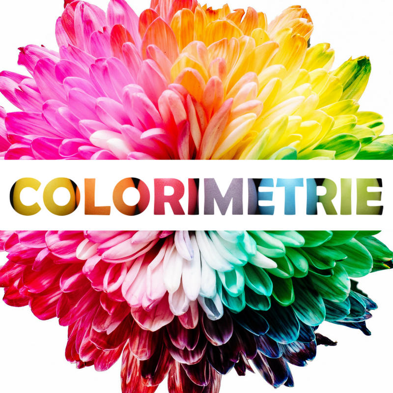 Colorimétrie : trouver les couleurs qui me vont